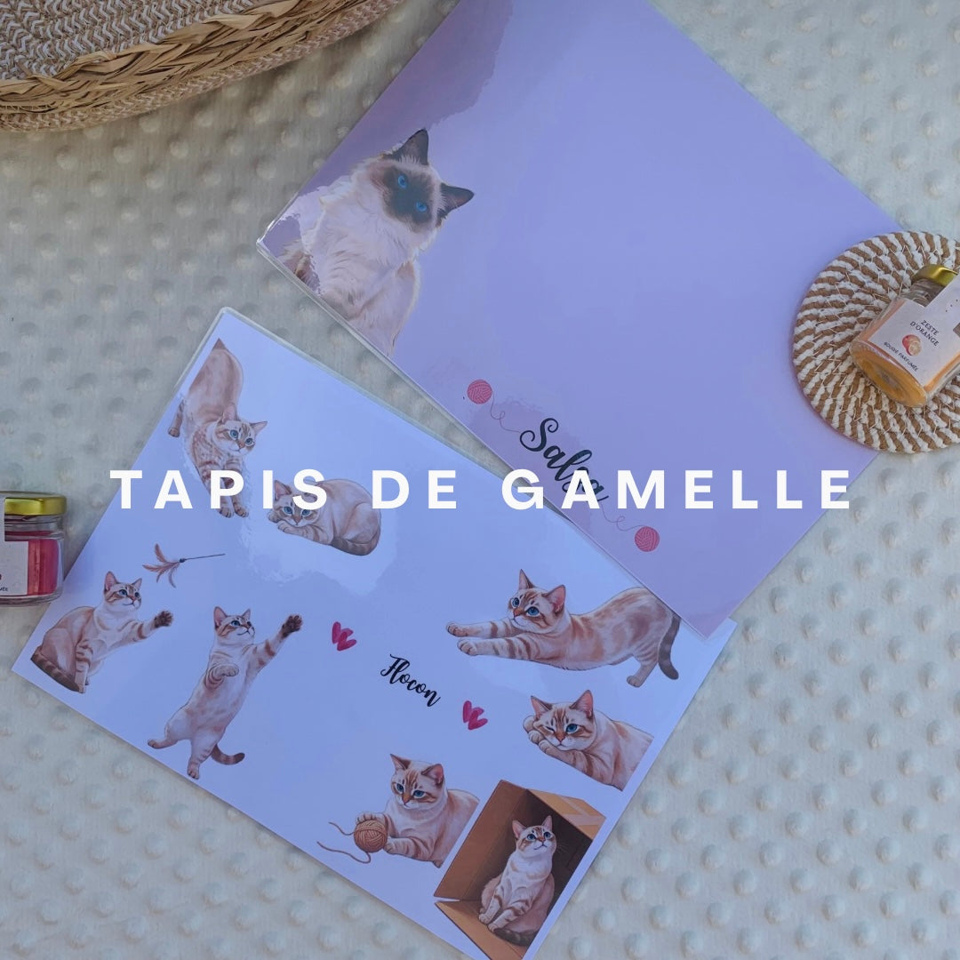 Tapis de gamelle 🐾