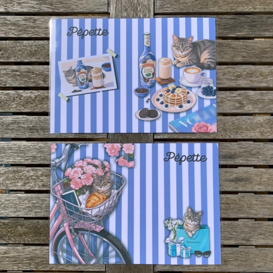 Tapis de gamelles lot de 2